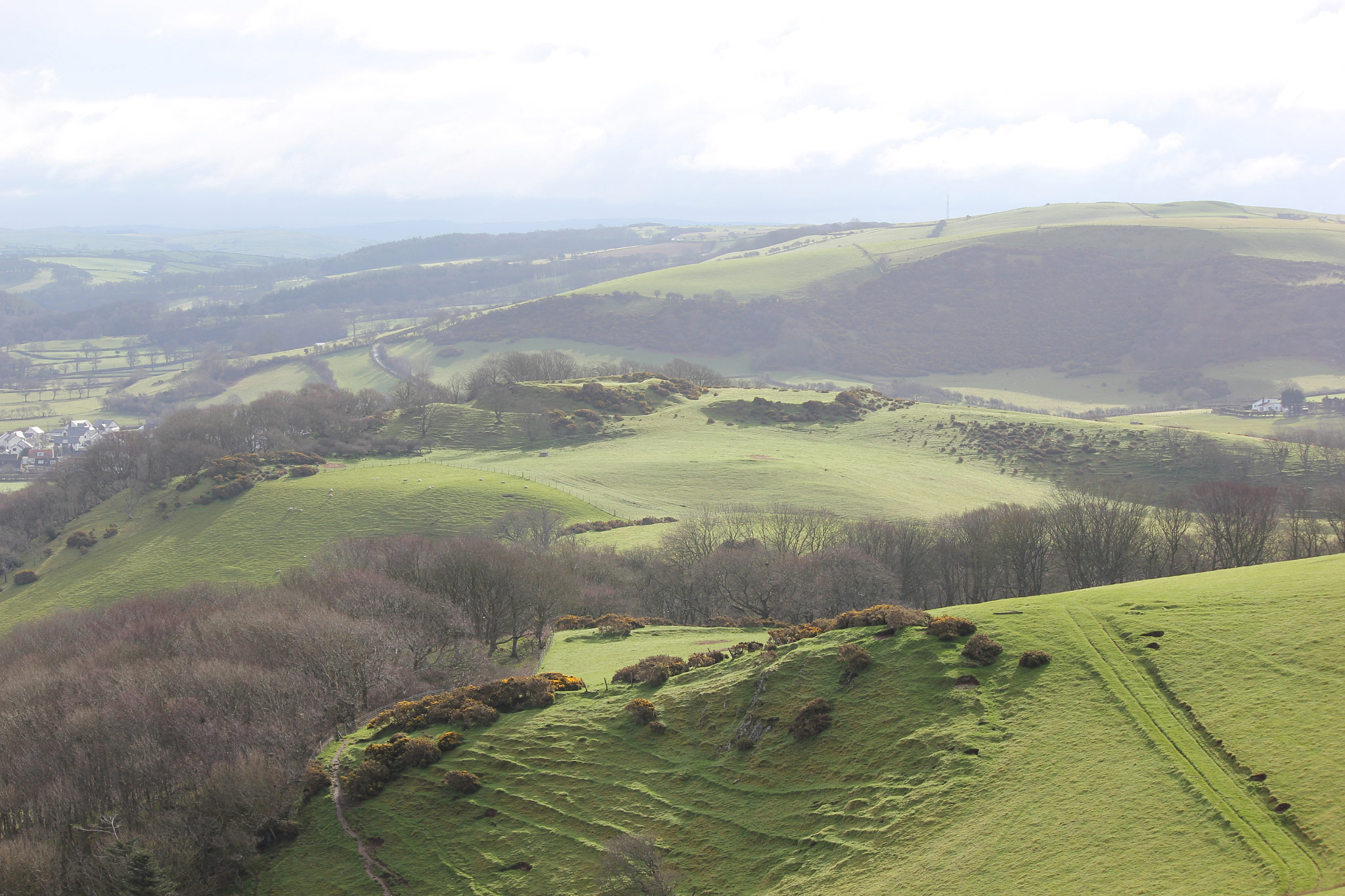 Ceredigion